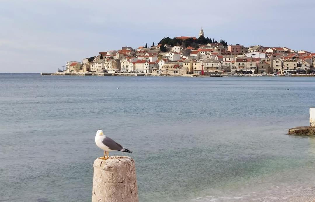 Villa Eni Primošten المظهر الخارجي الصورة
